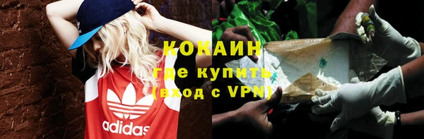 тгк Богданович
