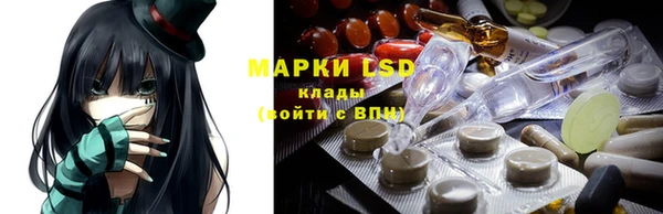 шишки Богородск