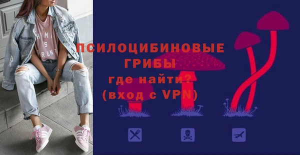 тгк Богданович