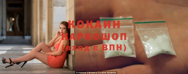 шишки Богородск