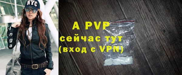 тгк Богданович
