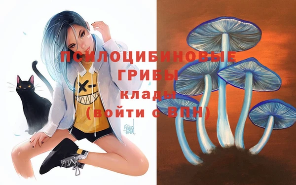 шишки Богородск