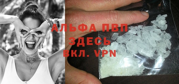 тгк Богданович