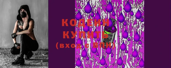 шишки Богородск