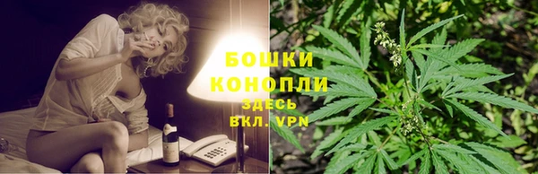 тгк Богданович