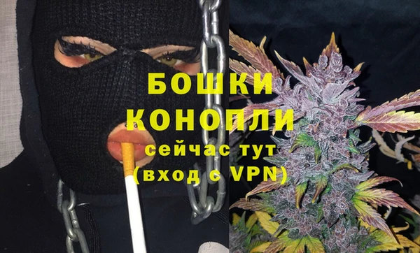 шишки Богородск